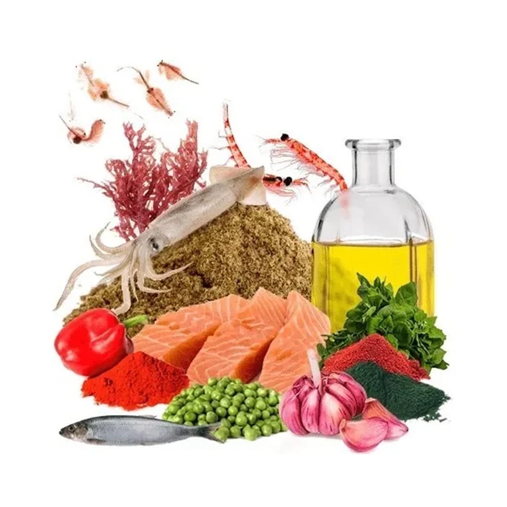 image_24834c1e-b2df-42d4-ae25-f8077f41b2d3