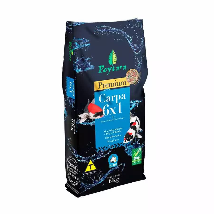 image_08ffd176-bd87-4ec2-9914-3f3e88127a2b