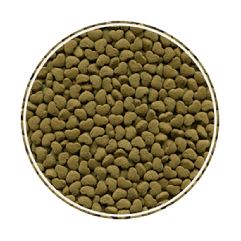 Product main image - 7f29d49e-bbce-42f6-9400-0db958c736e9