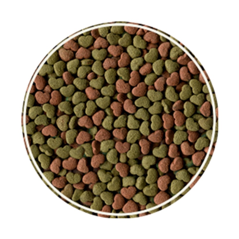 Product main image - c632234b-95d5-4083-ad7e-ad407dd03928