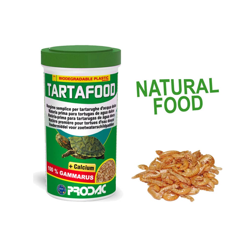 image_2b72a3c8-ea05-4832-a202-38c0cc26afdf