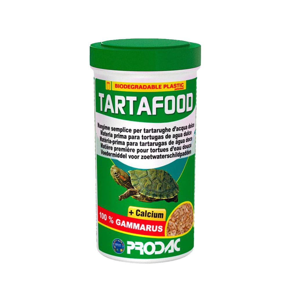 image_aaa0ee32-1e6c-4baa-acbe-0f6227bb4f59