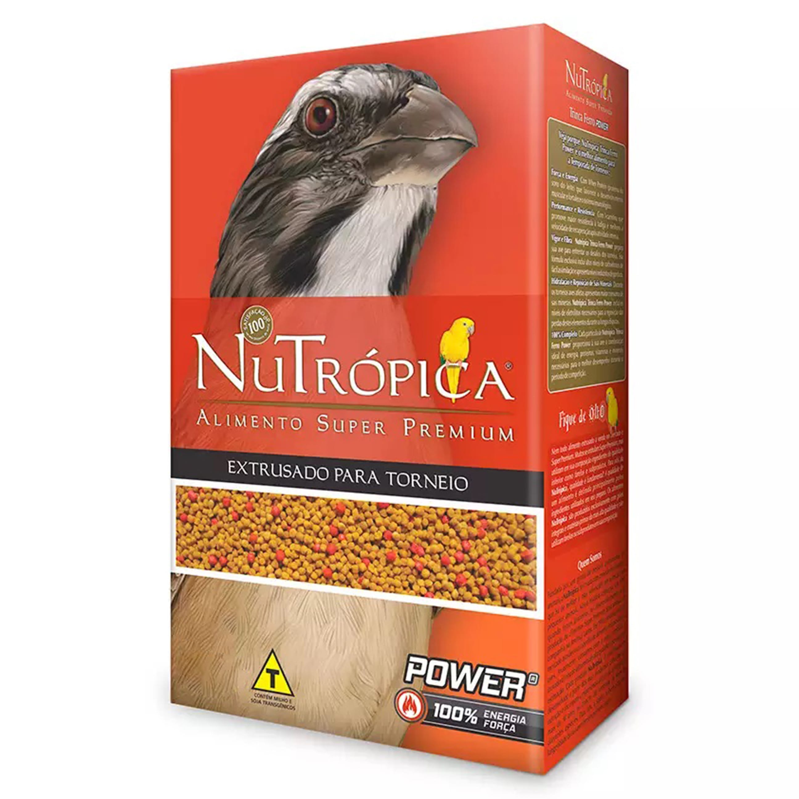 image_400dbf81-c95d-430d-acad-494c399a10a9