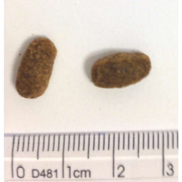 image_130cc562-802c-4023-825e-a74acb361a03