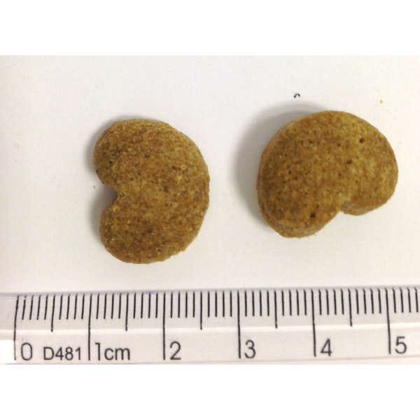 image_12975af3-28f9-424b-b51c-6e07e1b59832