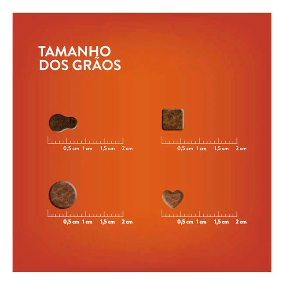 image_195a2ec6-40fc-4248-97fe-8c29ae7a78d5