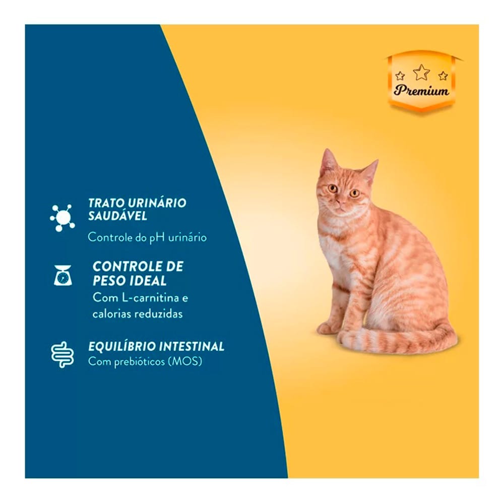 image_cebfba5d-ab5b-451b-99bc-da12123de11e