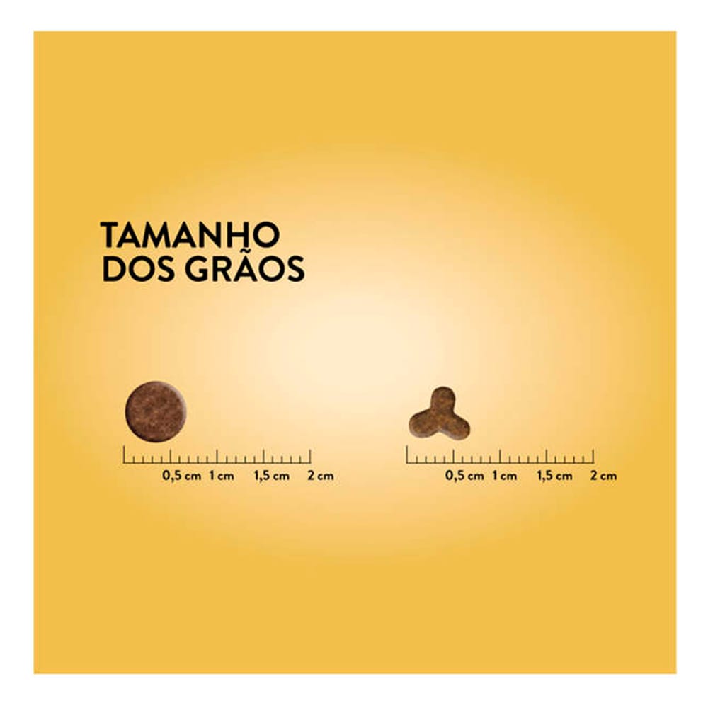 image_9b950a28-4ba1-4b69-8505-c67b308bff08