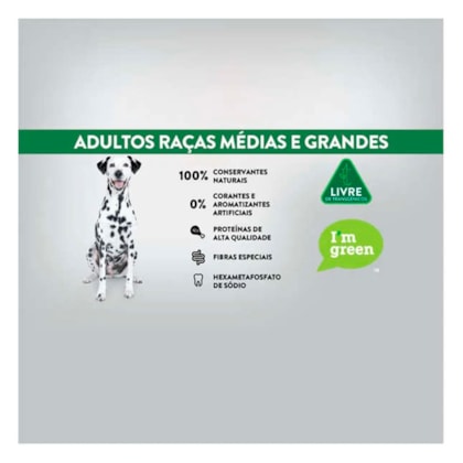 image_26c7fc86-1fa0-4eb9-9adc-c78b33517649