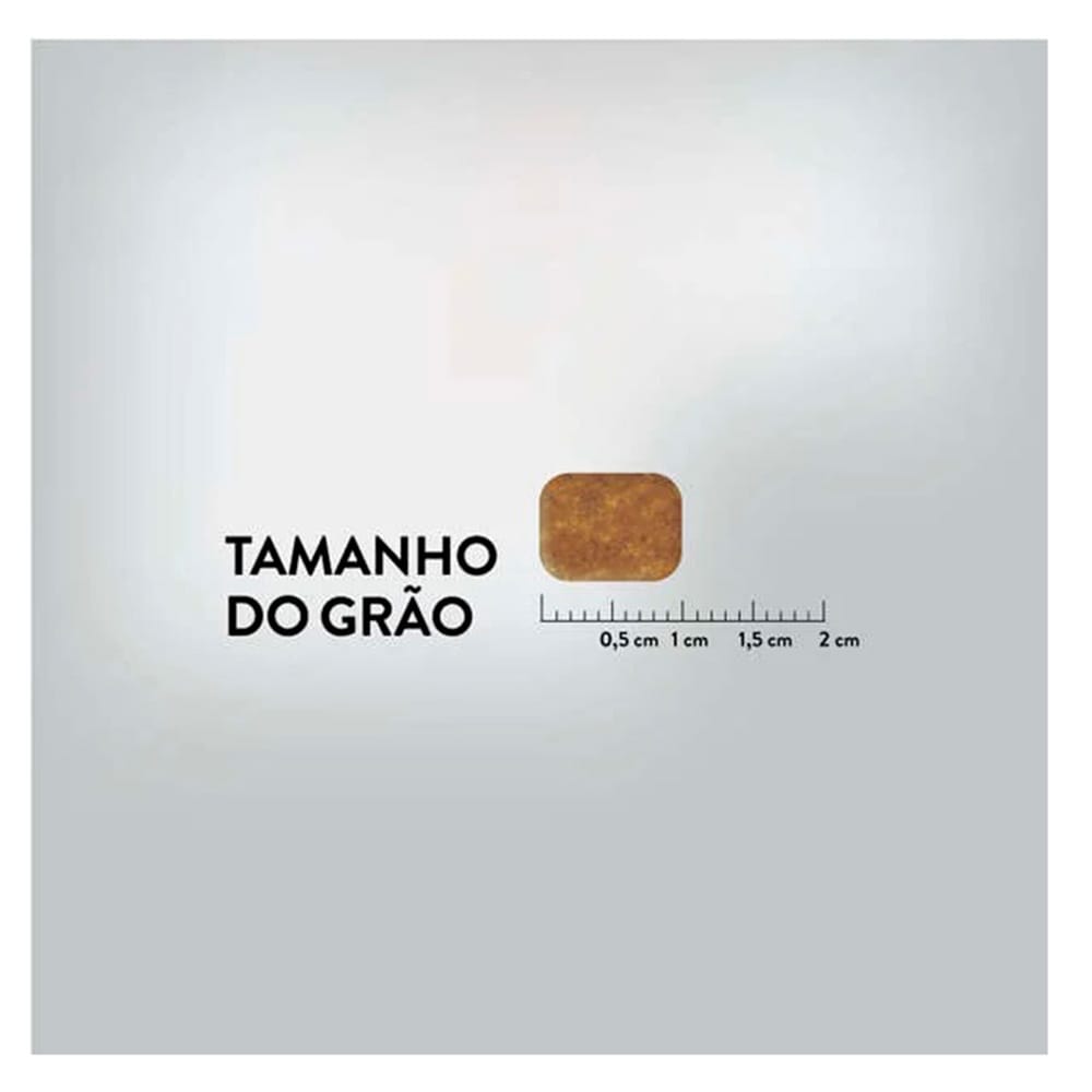 image_8b9b4756-8953-4ac3-bcdf-9ad97c4bd149