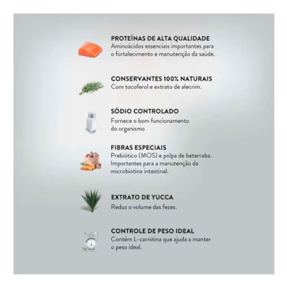 image_96064c1d-cf44-4b77-baa6-73c4dc15d894