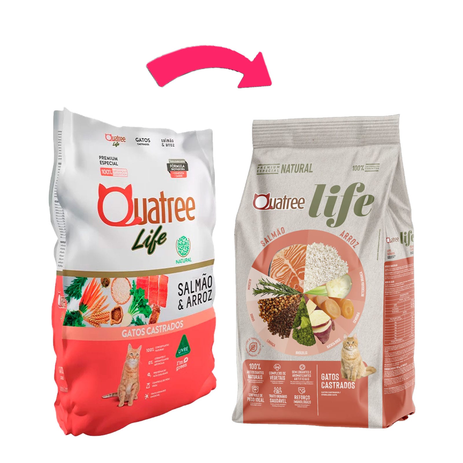 image_ecf2de60-031f-4b6c-8089-dce75cc03c95