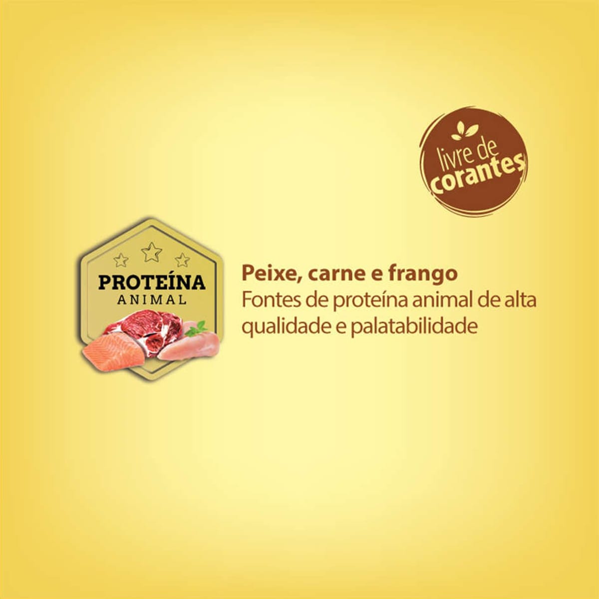 image_97ed65aa-dac6-47ef-83d2-c41b22a287f9