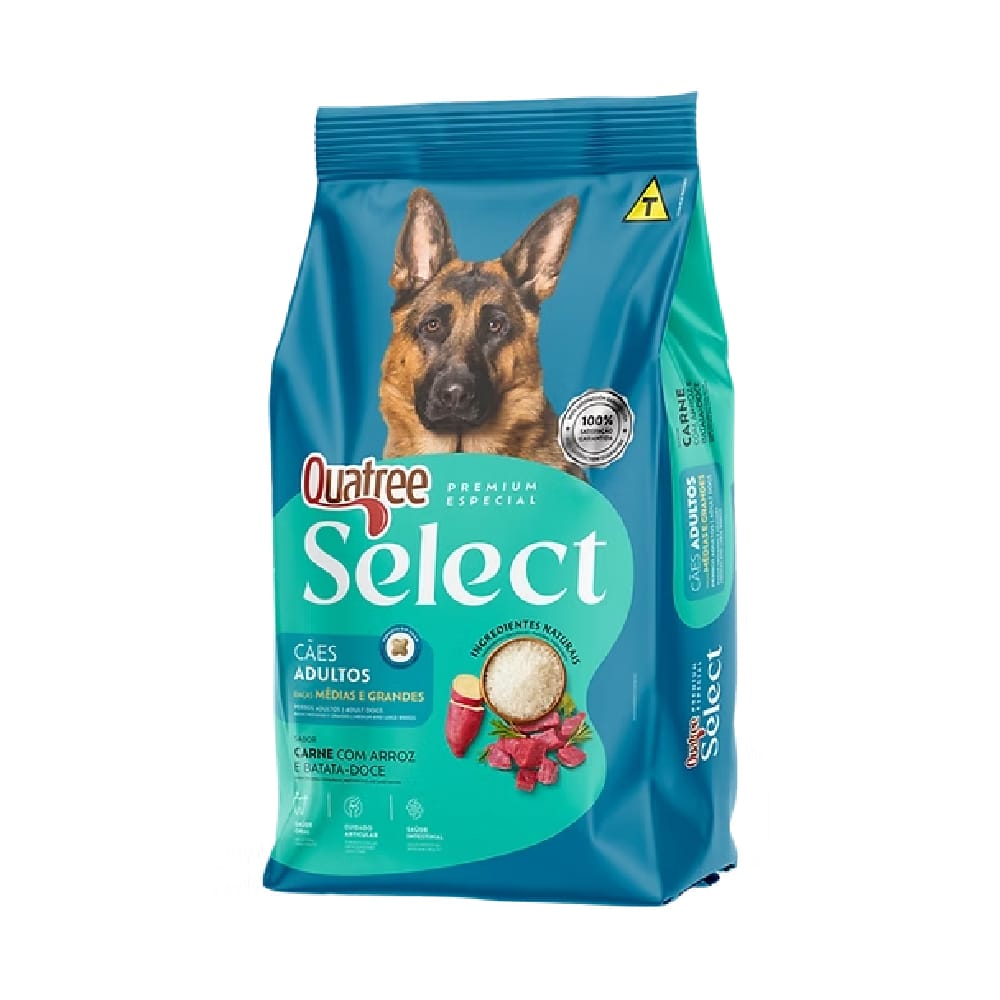 image_f6c0ba12-18ac-46ab-935e-5ffb6b124835