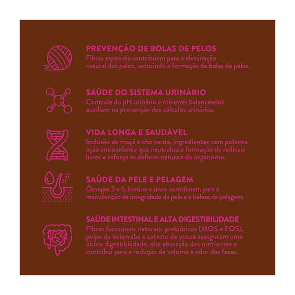 image_218a4224-b06c-4c6a-9410-dd2f2c545100