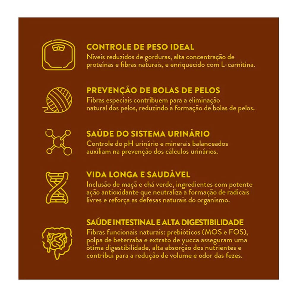 image_c0cf7fd6-9682-4311-9dc4-9e741504ae32