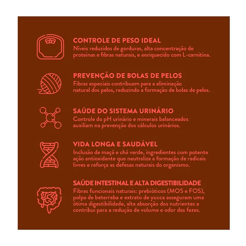 image_f9429408-42c5-4c64-b158-13437592420f