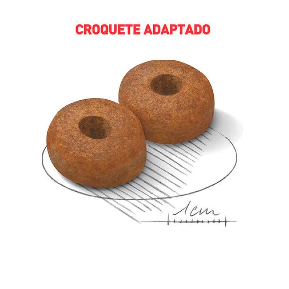 image_37a2a181-3311-4abe-99ea-a876a21c0cca