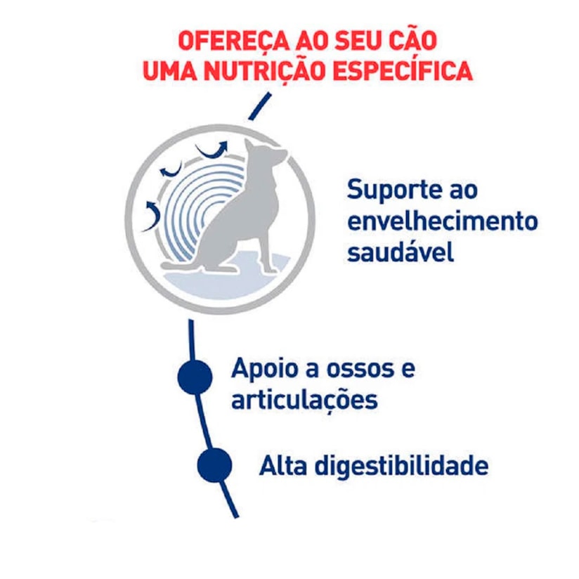 Product main image - ee4345f6-5fbf-4d86-a7a7-613dbe8f7743