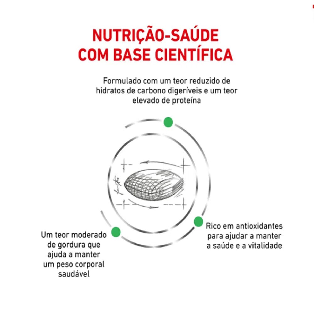 image_26b6f156-8cee-4373-a61b-0225f092dad1