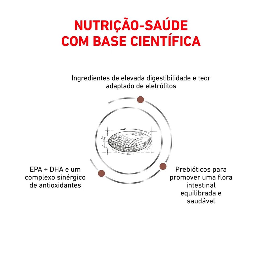 image_b586a18f-0a24-4b2d-b956-f86e6b09224f