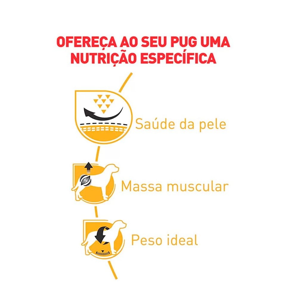 image_d5dbfdb2-299f-4f80-b4c8-023bc54e1439