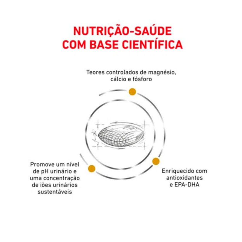 Product main image - 008bf4cd-ad44-4e41-b5f1-81af9d5013d8