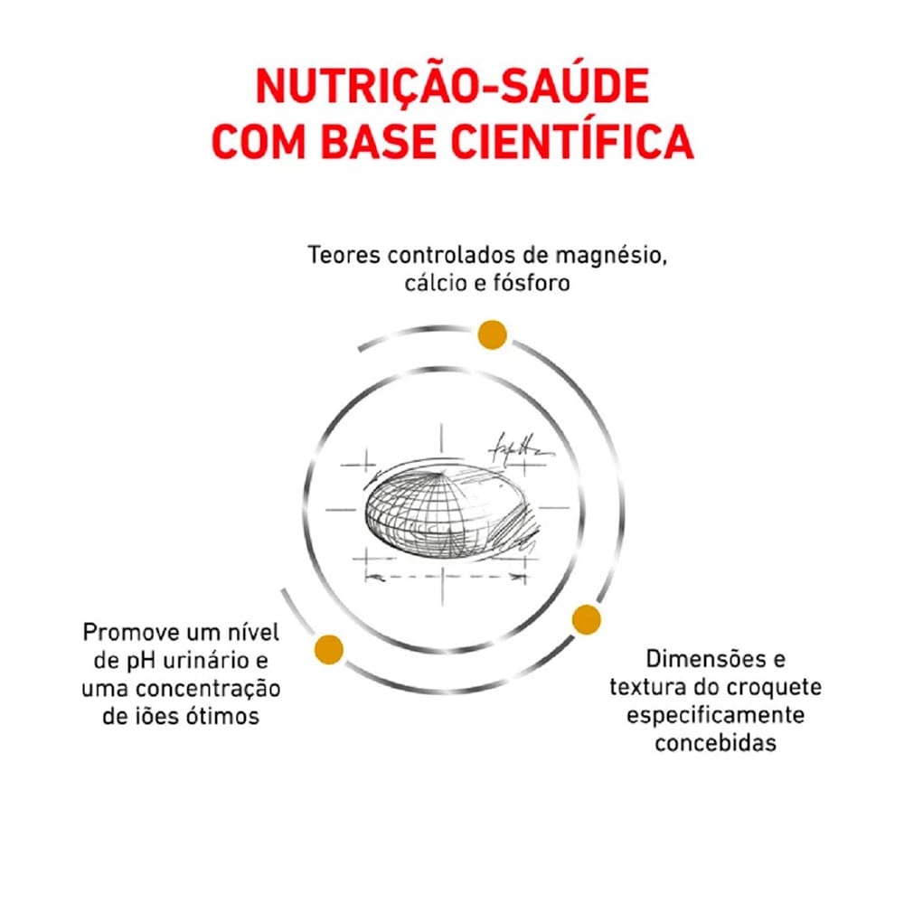 image_07dd4bee-5a18-43be-b3d5-686ad8f2848e