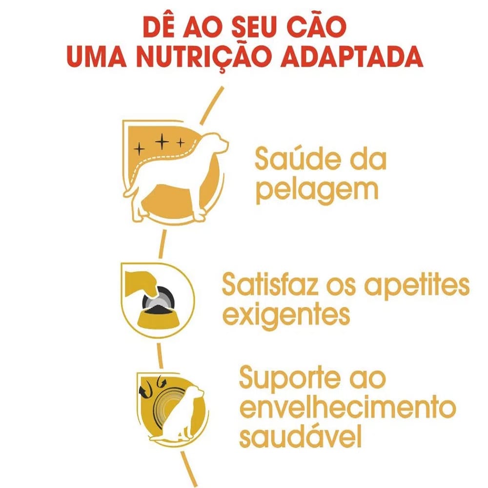 image_54f7c9a7-a706-4716-92de-633827e17350