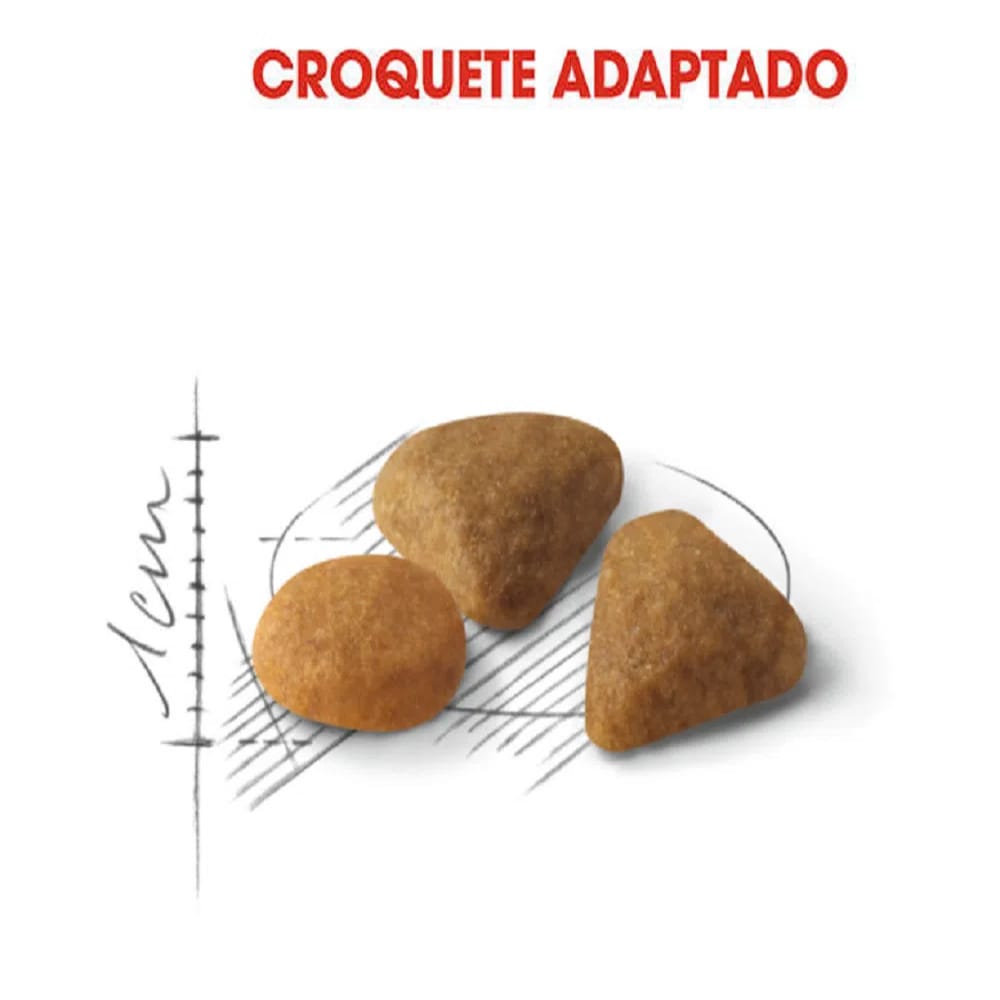 image_9021d567-4d92-4922-b04e-a2846d92da1a