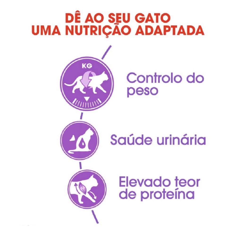 image_4177cec7-4109-4a3a-adaf-ff165e0fa561