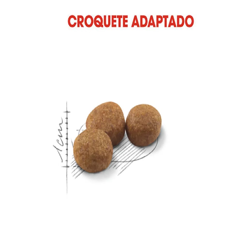 image_d3b7eb67-c249-411e-a314-8d4b77c5af38