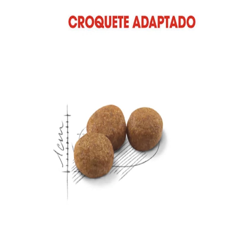 Product main image - 1302c691-31f4-4a30-beb9-ef14468fb272