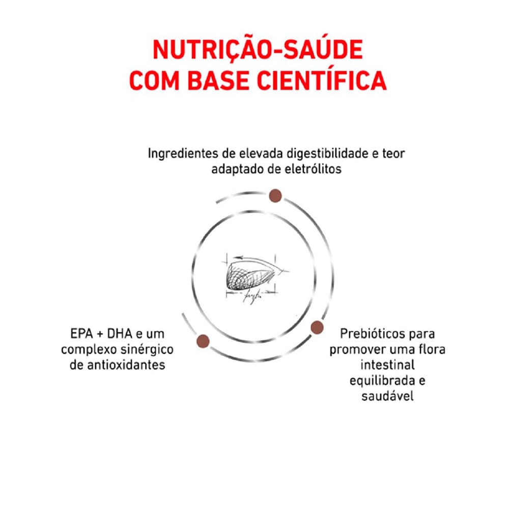 image_c2c6fcae-2d98-46f7-818c-ffe73e1c90af