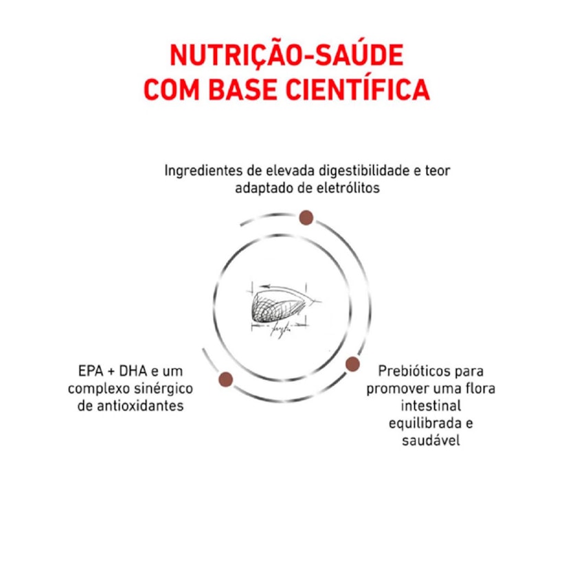 Product main image - 3349f4c4-b6c7-4080-8a86-c2c4849a3a11