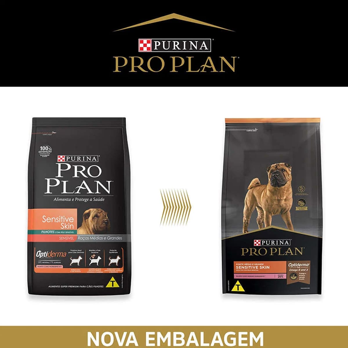 image_ebfbc2bf-6a1d-4d56-b75b-c122b5655cf9