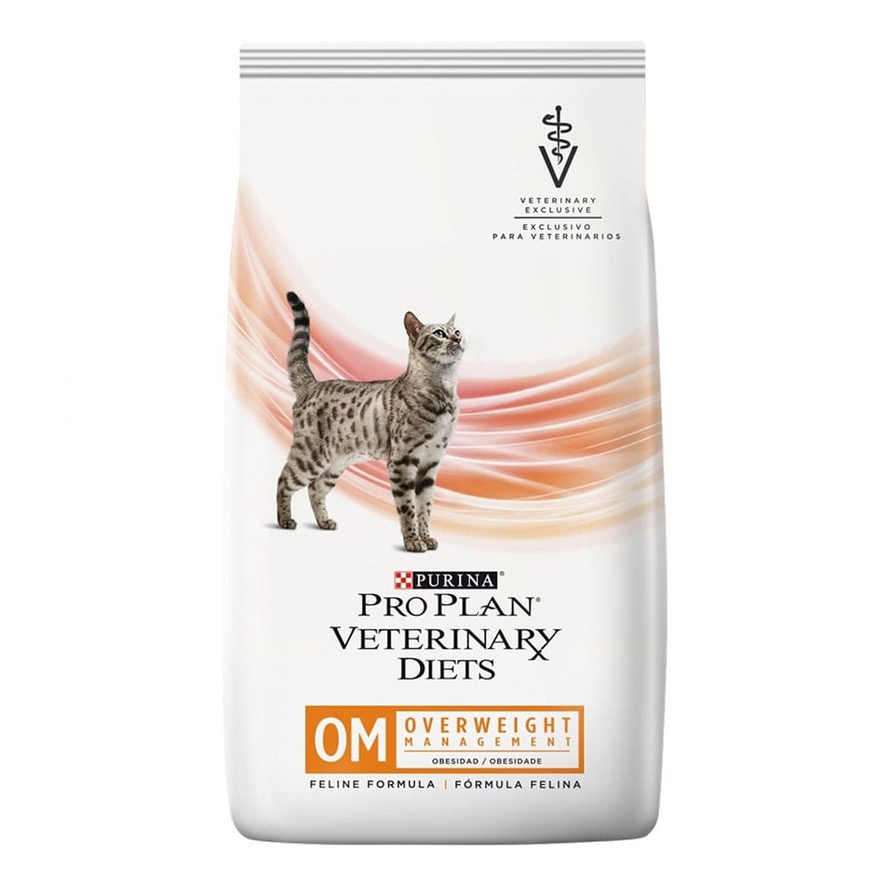 image_c70e3743-3e3e-4f35-8317-7f4dd424c085