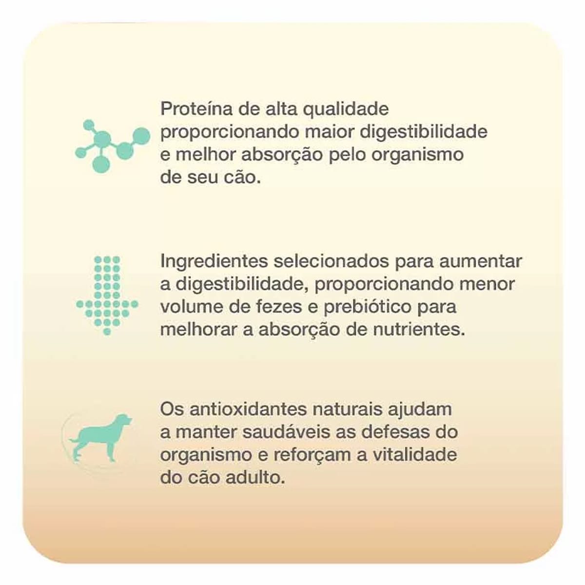 image_88b93861-5976-4327-a753-658f335e4dc6