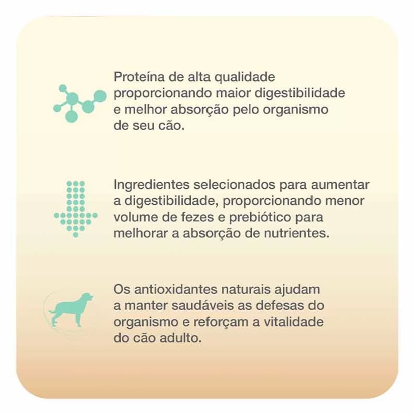 Product main image - f7e03c15-541d-431c-a7b8-6ed696ae383d