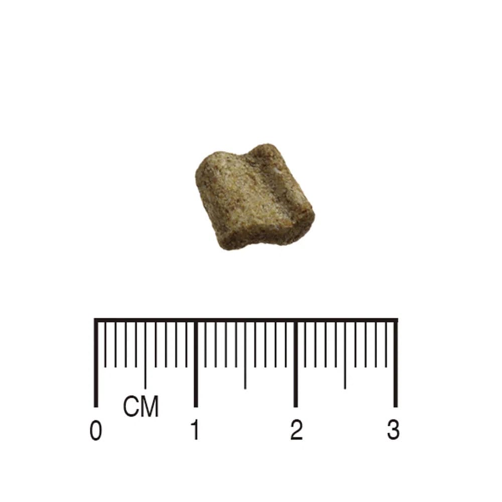 image_34e53a32-23df-4040-a735-4284a19e3430