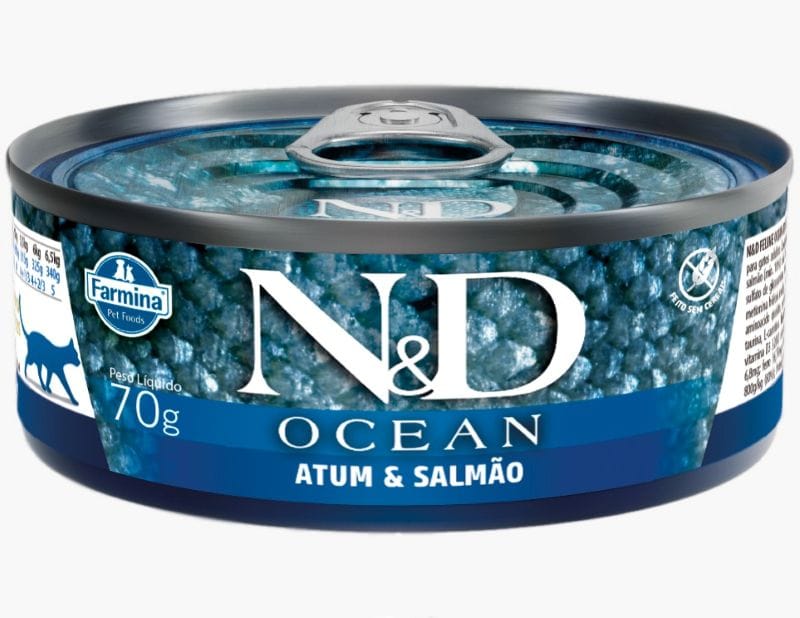 image_c8c2d281-b1c1-4a7b-8380-5b03ad54ee13