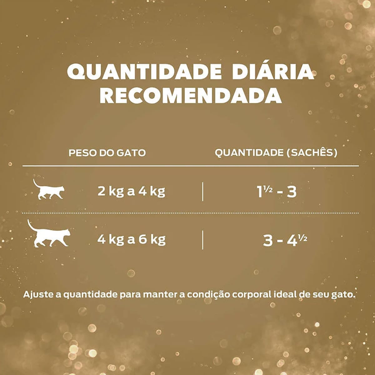 image_ef9ee7f4-1a1e-4609-9beb-b03c0fd4cef6