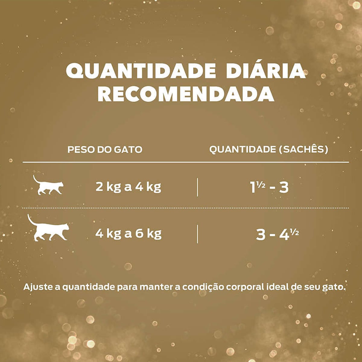 image_61c7603f-335e-4ae7-90ae-a640a8eae694