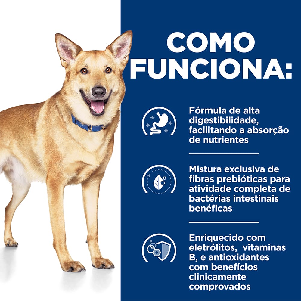 image_e82ab257-73ed-40c9-bc58-3ac4e451a247