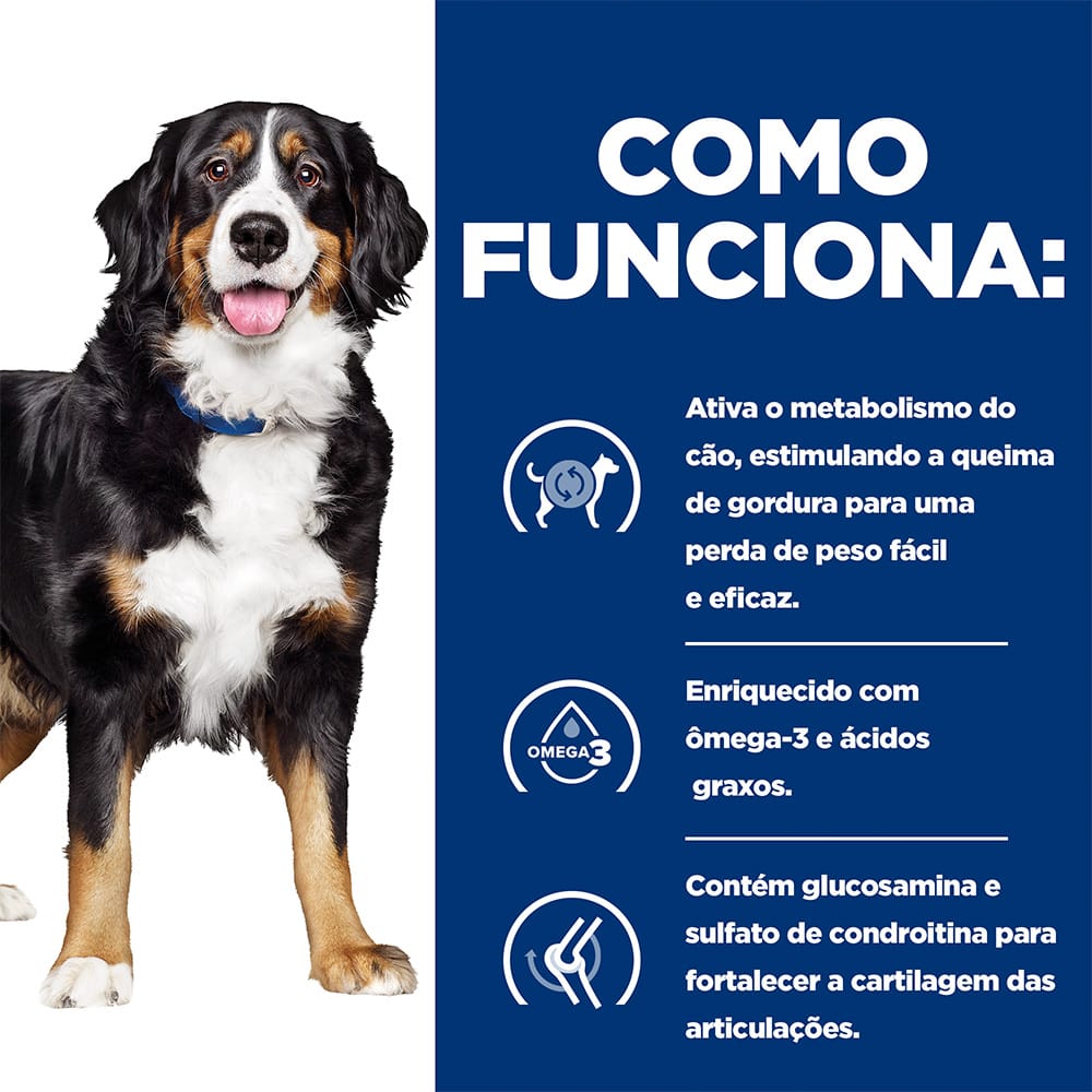 image_97a50770-d16e-4335-bd6f-41c325bcb0c7