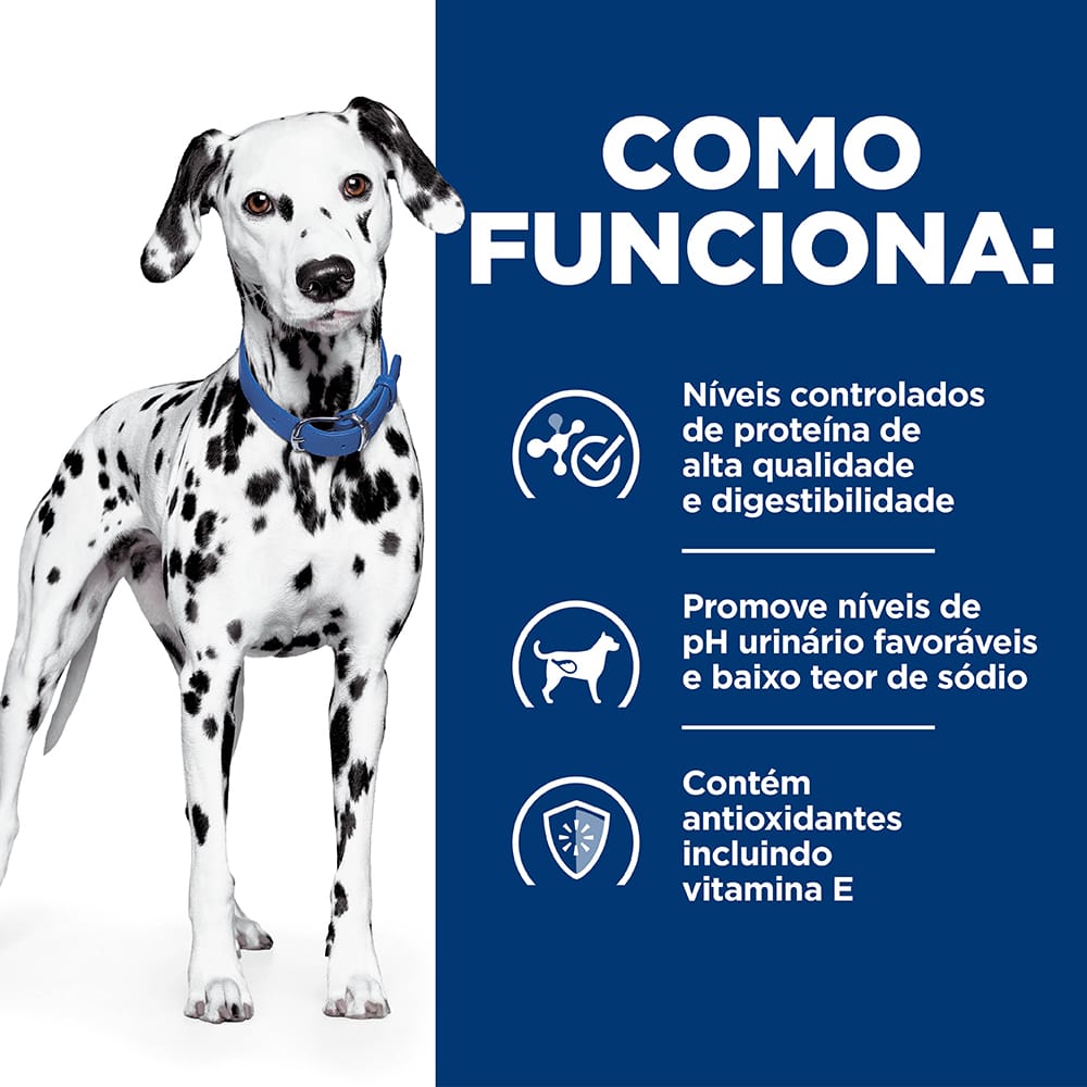 image_35db751a-ffbf-43f3-a228-a8b1f0aefa97