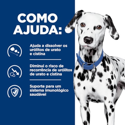 image_dd579414-82f4-4204-9563-40c1fe9af9cd