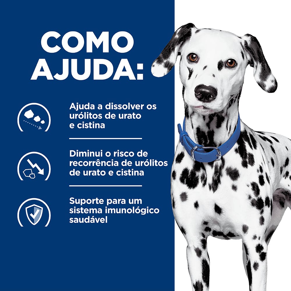 image_3b81836b-e3ea-4638-9bf2-74c0a005a3d2