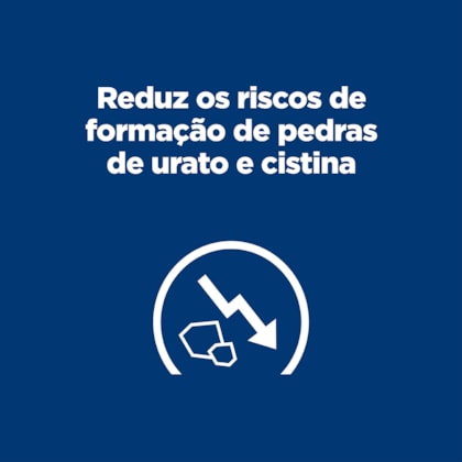 image_28f8e556-e60b-4eca-9008-ed975fa9b01c