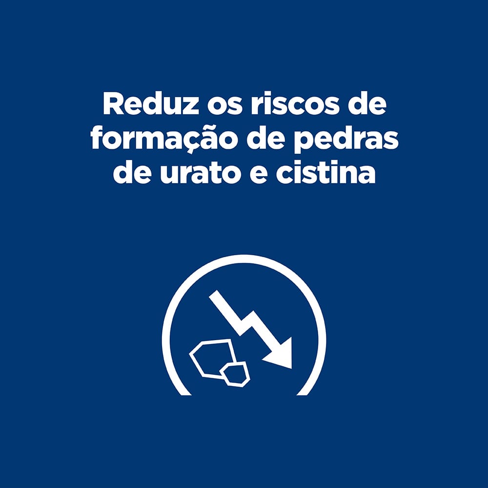 image_4a399add-14d6-417b-b139-1cd299578962